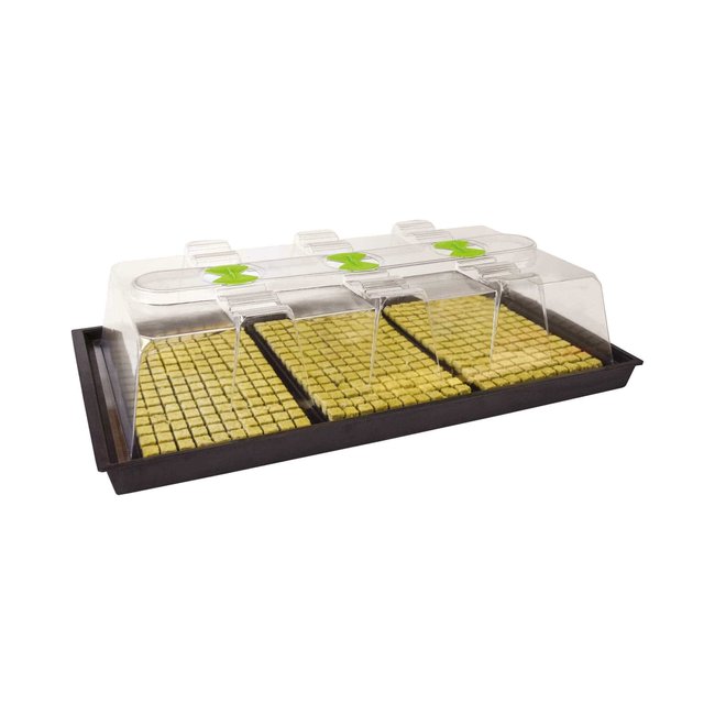 X-Stream Unheated Propagator