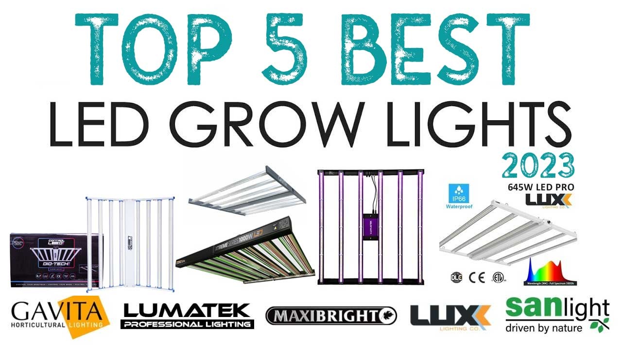 Best LED Grow Lights 2023