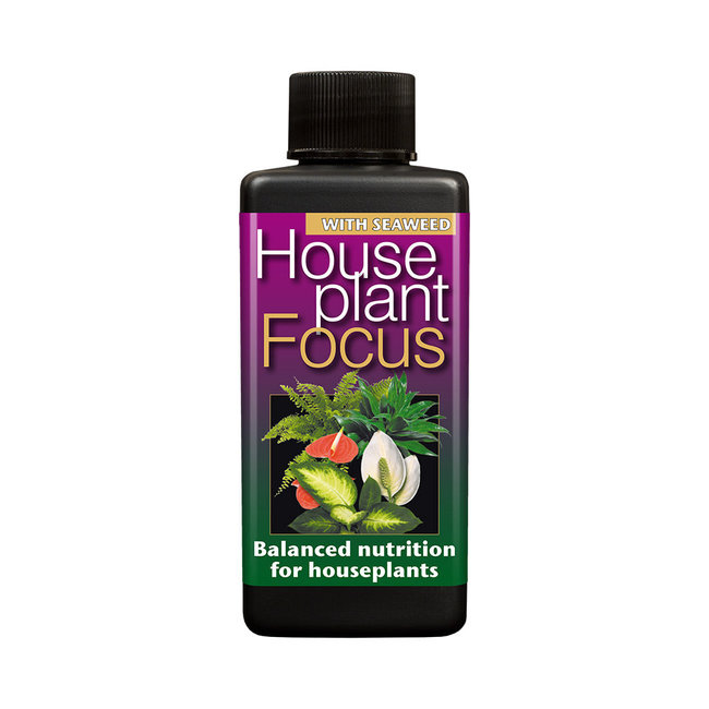 Growth Technology Houseplant Focus 1 litre