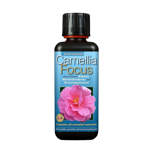 Growth Technology Camellia Focus 300ml