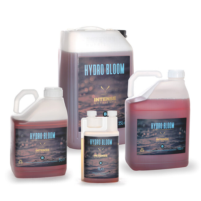 Intense Nutrients Intense Nutrients - Hydro Bloom