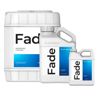 Athena Fade Athena Fade