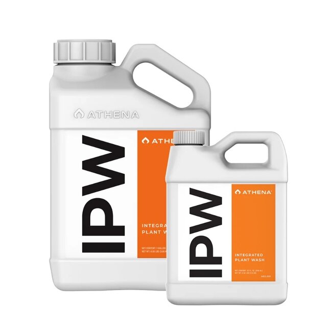 Athena IPW