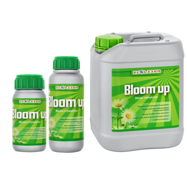 Ecolizer Ecolizer - Bloom Up
