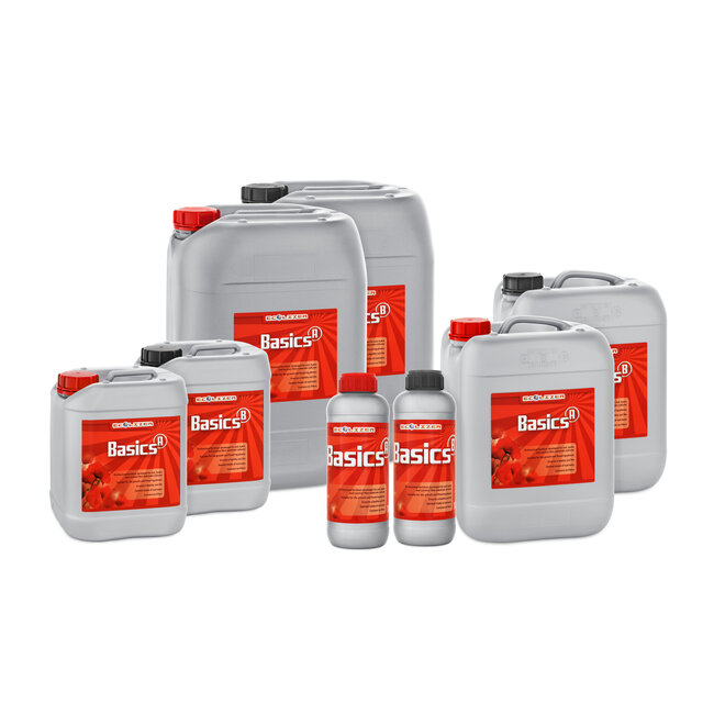 Ecolizer Basics A & B