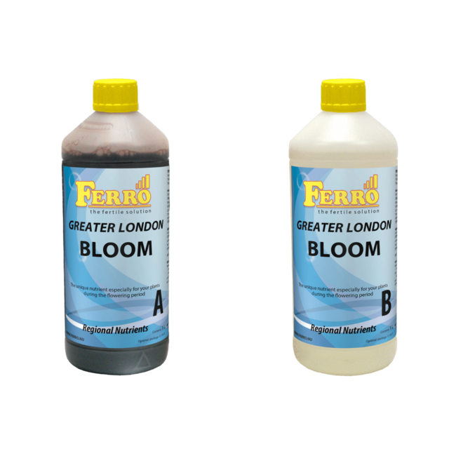 Ferro Bloom