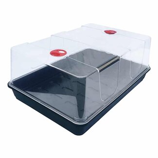 Garland XL Propagator