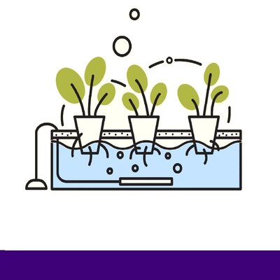 Hydroponic Systems