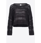 PINKO Pinko 103280A1PG Telopea sweater zwart