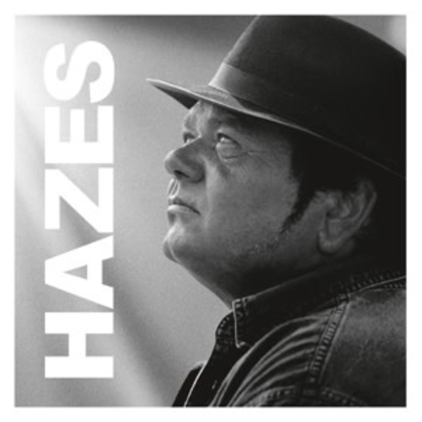 ANDRE HAZES - HAZES -HQ- (VINYL)