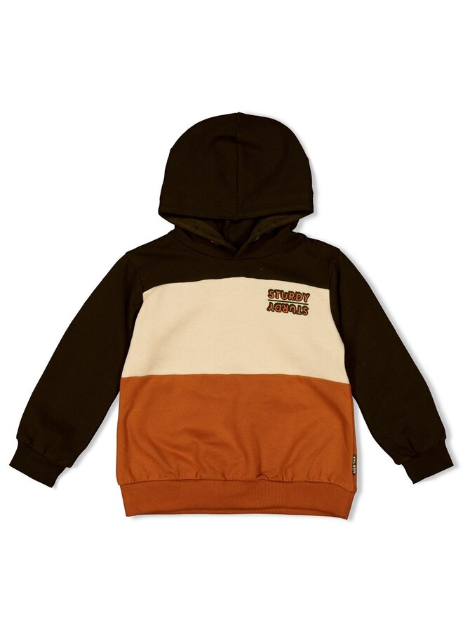 Hoody - Fly Wild (d.Bruin) | 71600552