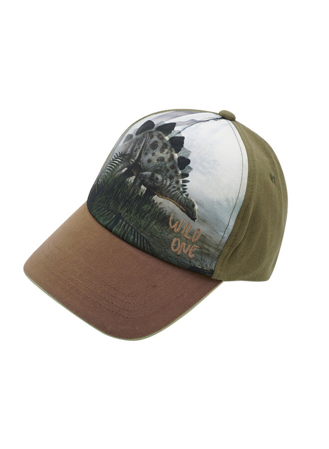 KIDS BOY-cap "dinosaur", 43503-116500 | khaki/braun (1432)