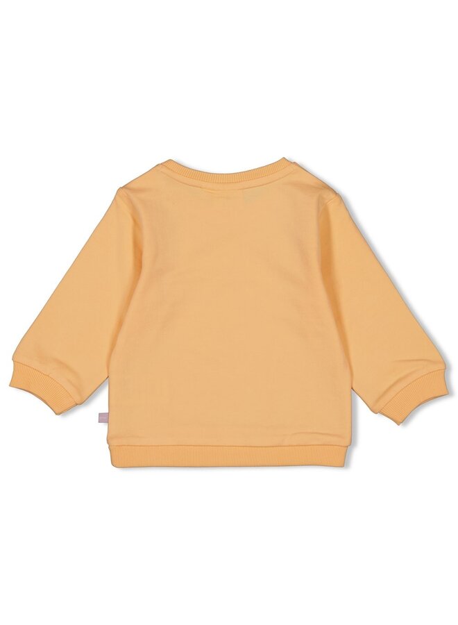 Sweater - Sunny Side Up (Abrikoos) | 51602340