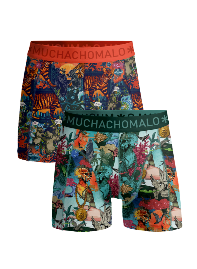 Boys 2-Pack Boxer Shorts | Birdcat Print/Print