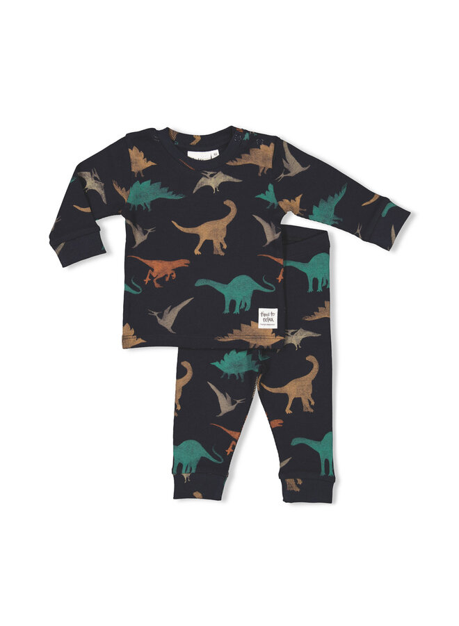 Davy Dino - Premium Sleepwear by Feetje