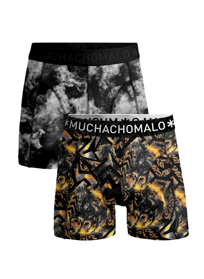 Boys 2-Pack Boxer Shorts | Fireelements Print/Print