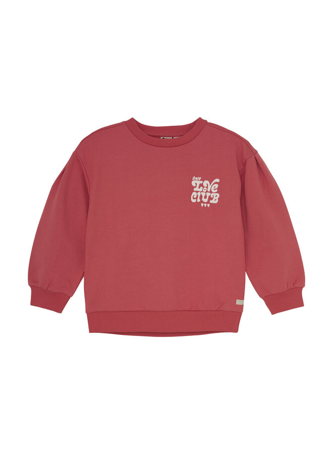 Sweater Brushed Print 930287 | Baked Apple (4430) W25