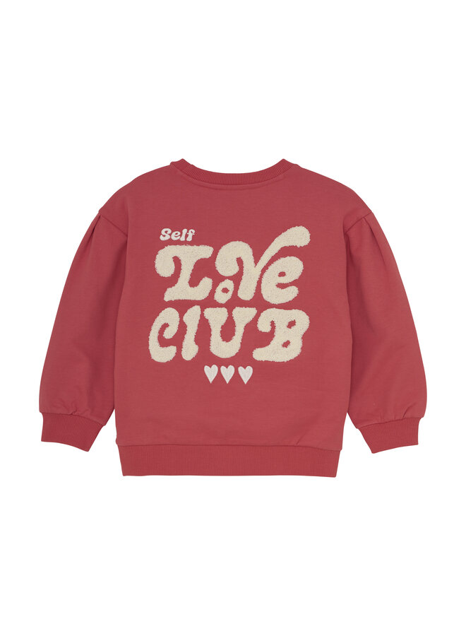 Sweater Brushed Print 930287 | Baked Apple (4430) W25