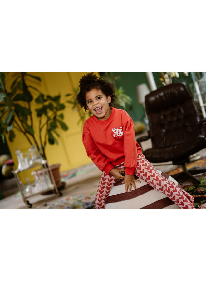 Sweater Brushed Print 930287 | Baked Apple (4430) W25