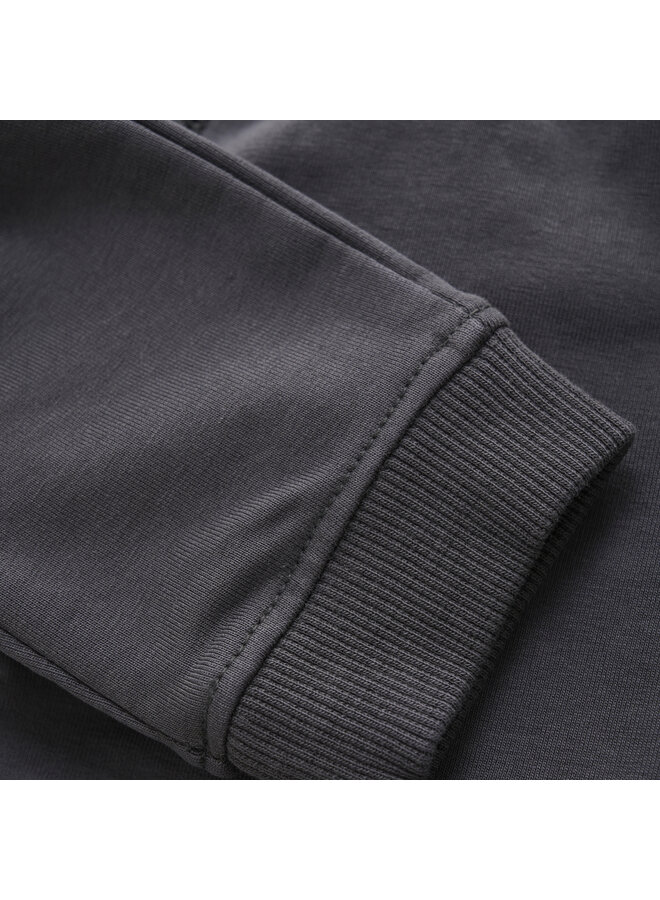 Boys Pants Siwa relaxed fit 5461123 | Grey (AW25)