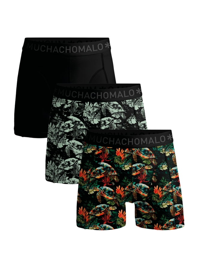 Boys 3-Pack Boxer Shorts | Turtle Print/Print/Black