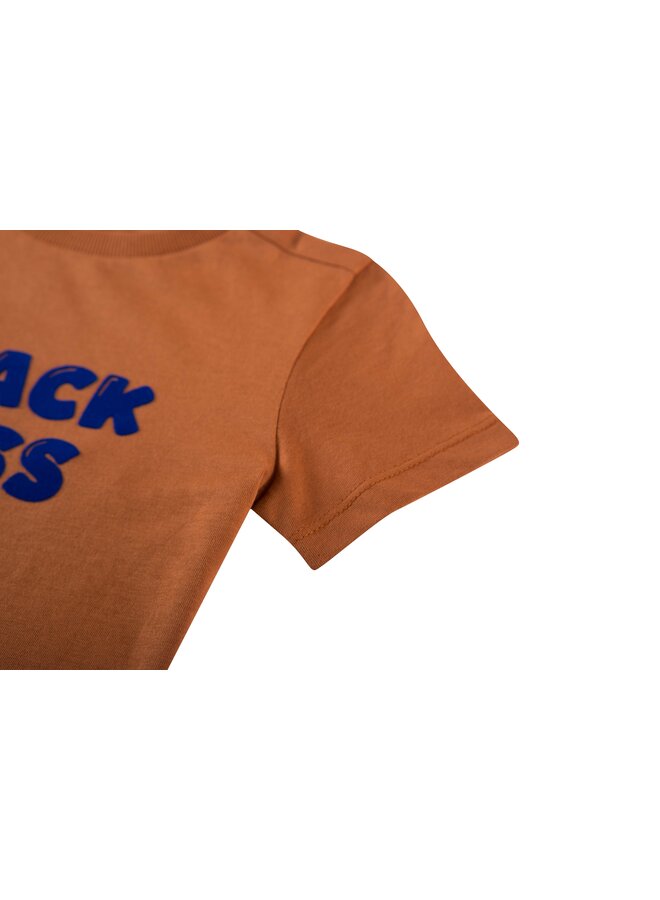 FELIX-SB-02-M | TERRA (S26)