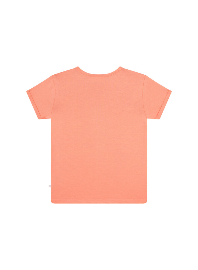 LOU-SG-02-B | CORAL (S26)