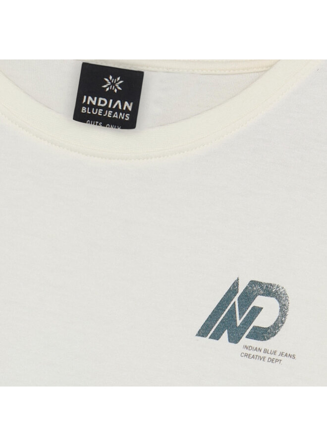 Loose Fit T-shirt IND 960547 | Cloud 1103 (S26)