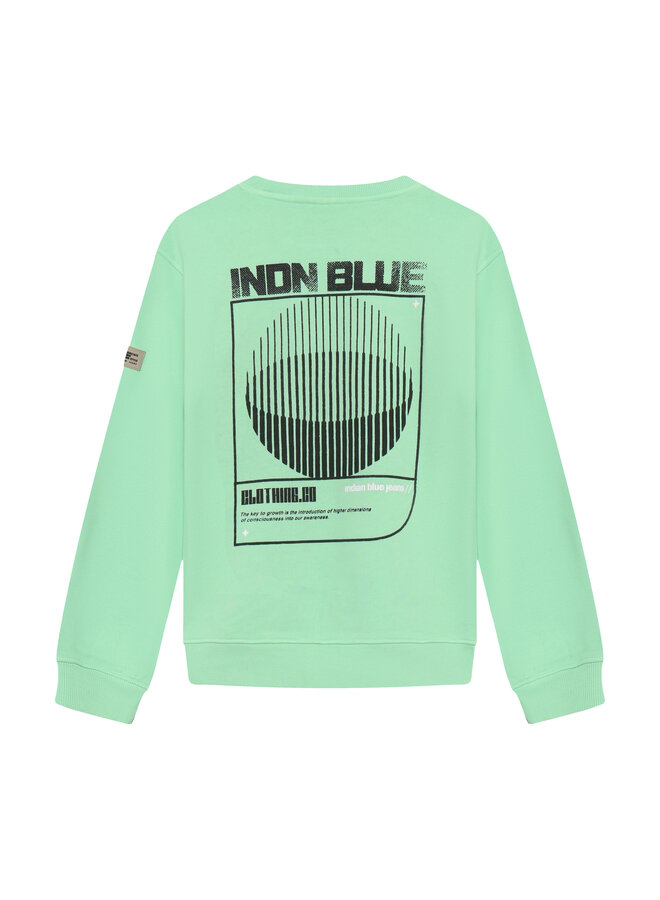 Loose Fit Sweat IND Washed 960557 | Fresh Green 9316 (S26)