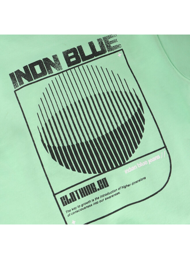 Loose Fit Sweat IND Washed 960557 | Fresh Green 9316 (S26)