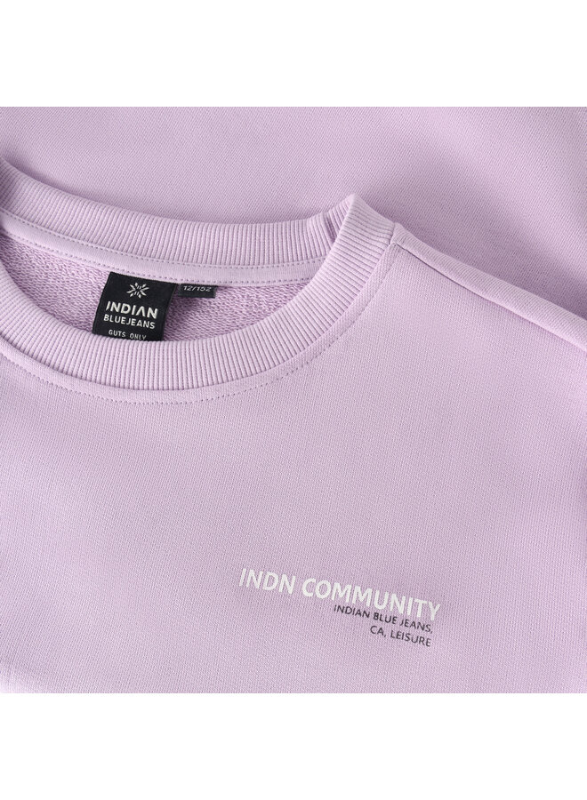 Loose Fit Sweat Backprint 960671 | Fair Orchid 6193 (S26)