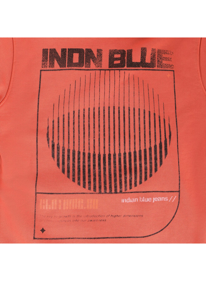 Hoodie INDN BLUE Washed 960602 | Lantana 5002 (S26)