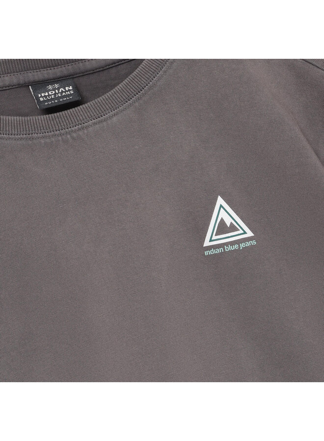 Loose Fit T-shirt IB Washed 960655 | Washed Grey 1288 (S26)