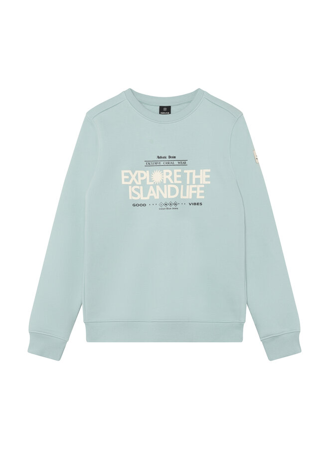 Sweater Chest Artwork Brushed 960599 | Ether 7506 (S26)