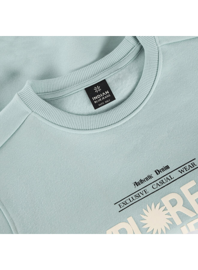 Sweater Chest Artwork Brushed 960599 | Ether 7506 (S26)