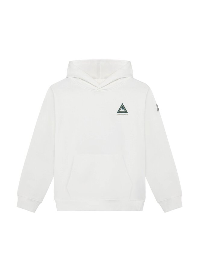 Loose Fit Hoodie Backprint  960562 | Cloud 1103 (S26)