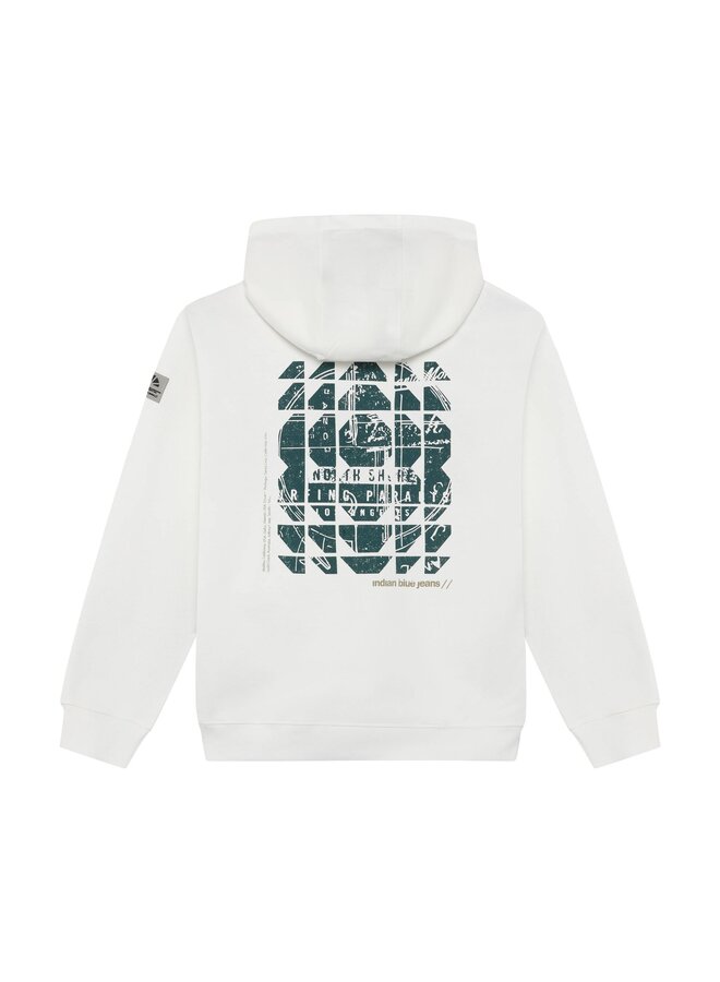 Loose Fit Hoodie Backprint  960562 | Cloud 1103 (S26)