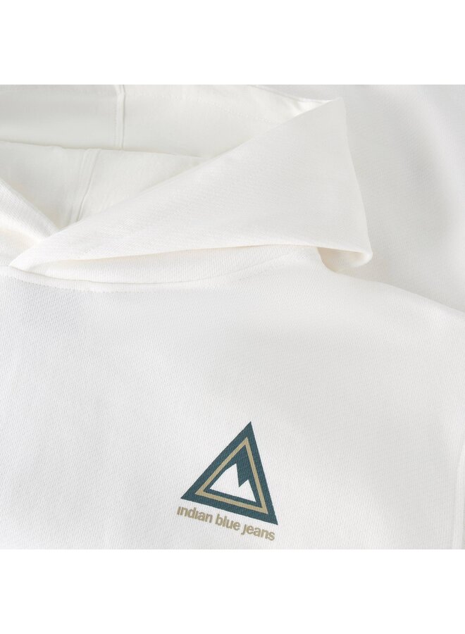 Loose Fit Hoodie Backprint  960562 | Cloud 1103 (S26)