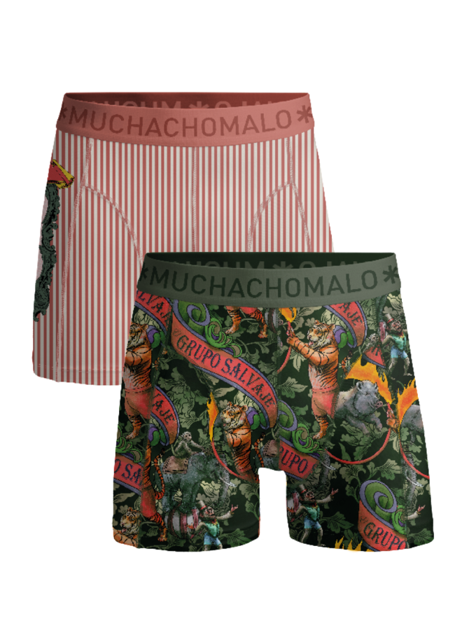 Boys 2-Pack Boxer Shorts CIRCUSANIMALS1010-04J | Print/Print