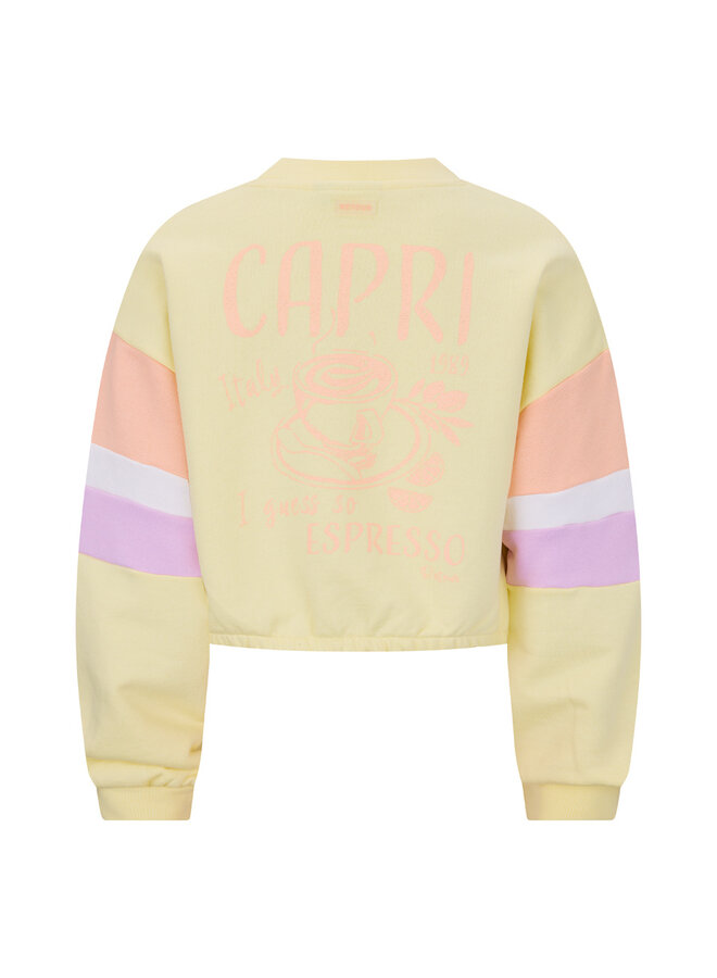 RJG-061-710 Kylie | pale sun (3007) S26