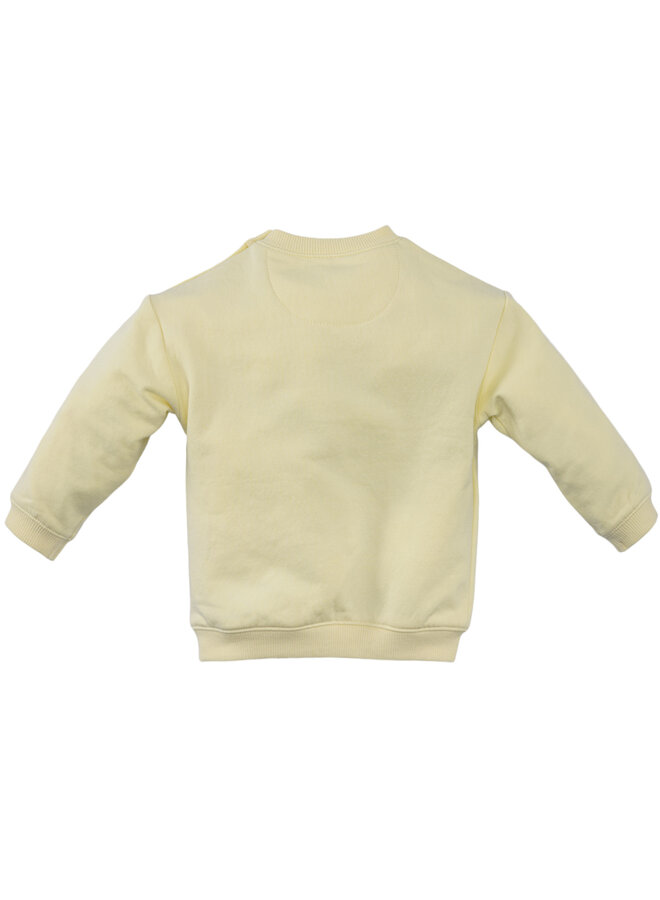 Guus  - Silly citron | Newborn S26