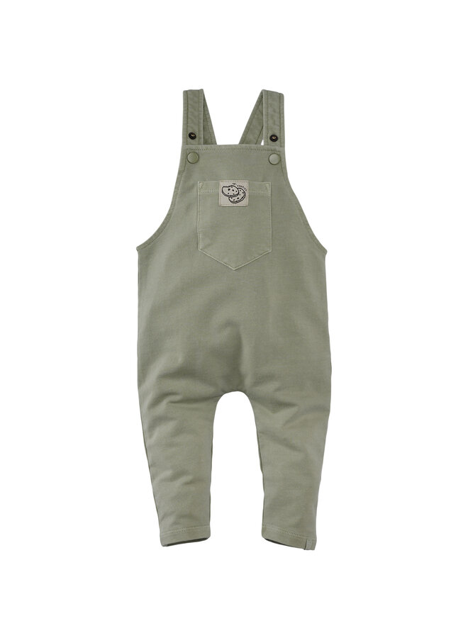 Elay - Silver sage | Newborn S26