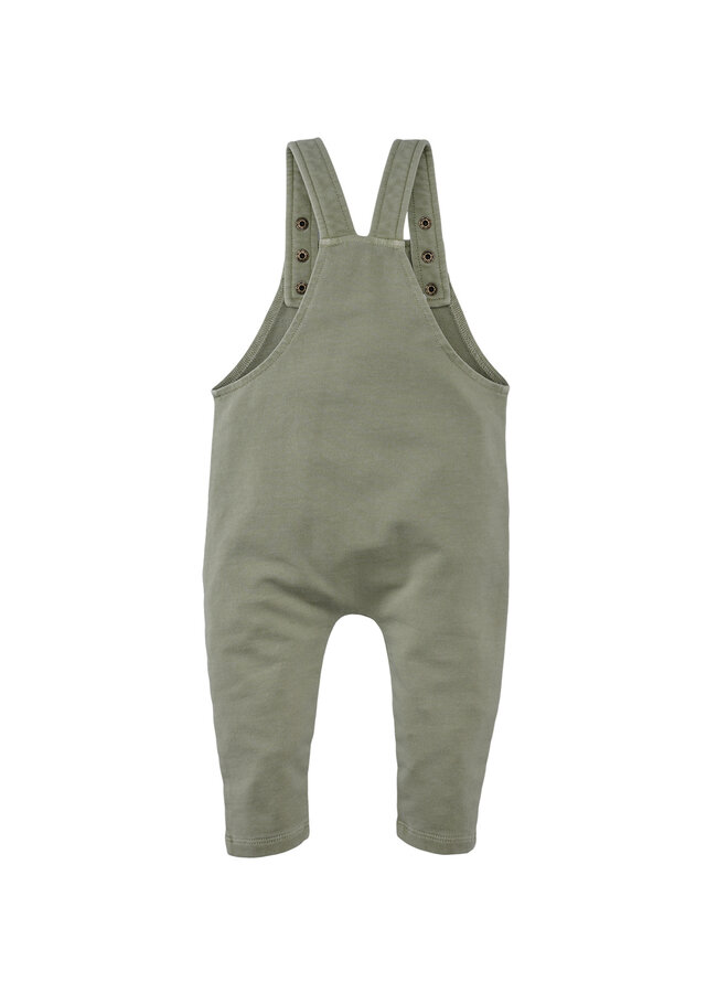 Elay - Silver sage | Newborn S26