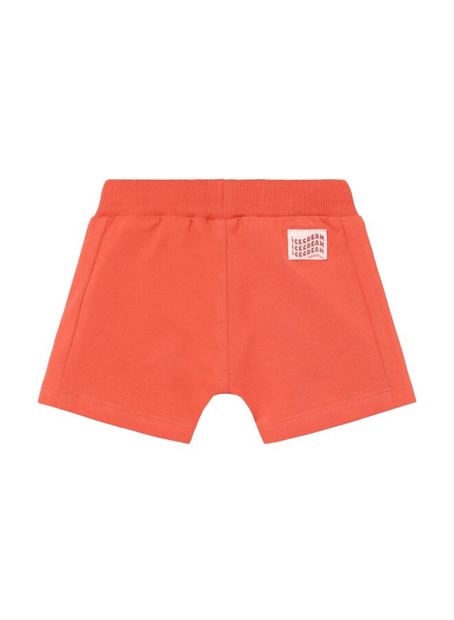 Shorts regular fit 6441210 | Red (4278) SS26