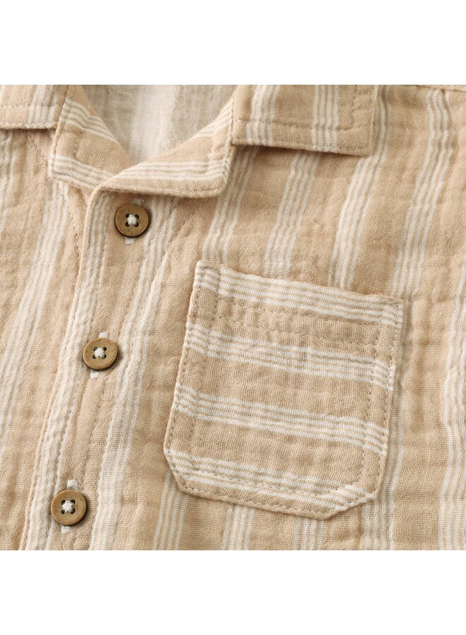 Shirt SS stripe 6430110 | Brown (2208) SS26