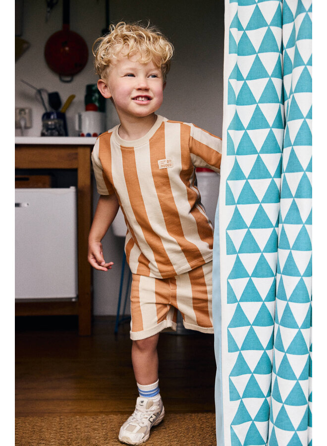 T-shirt Big Stripe 920356 | Brown (3328) S26