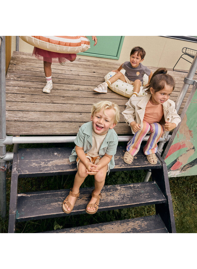 Shorts Big Stripe 920380 | Brown (3328) S26