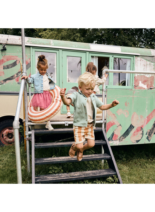 Shorts Big Stripe 920380 | Brown (3328) S26