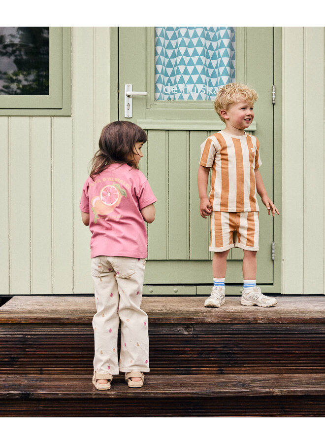 Shorts Big Stripe 920380 | Brown (3328) S26