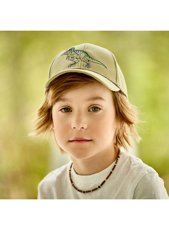 KIDS-cap, dino, embroidery 63503-174476 | tee (14)